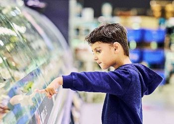Salling Group ve Danfoss, gıda ve enerji israfını önlemek için Microsoft ile güçlerini birleştirdi