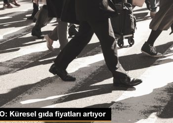 FAO: Küresel Gıda Fiyatları Rusya’nın Karadeniz Tahıl Girişimi’nden çekilmesiyle yükseldi